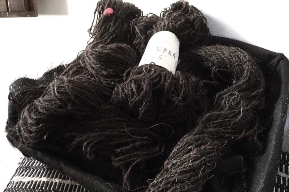 lana di pecora nera di Arbus